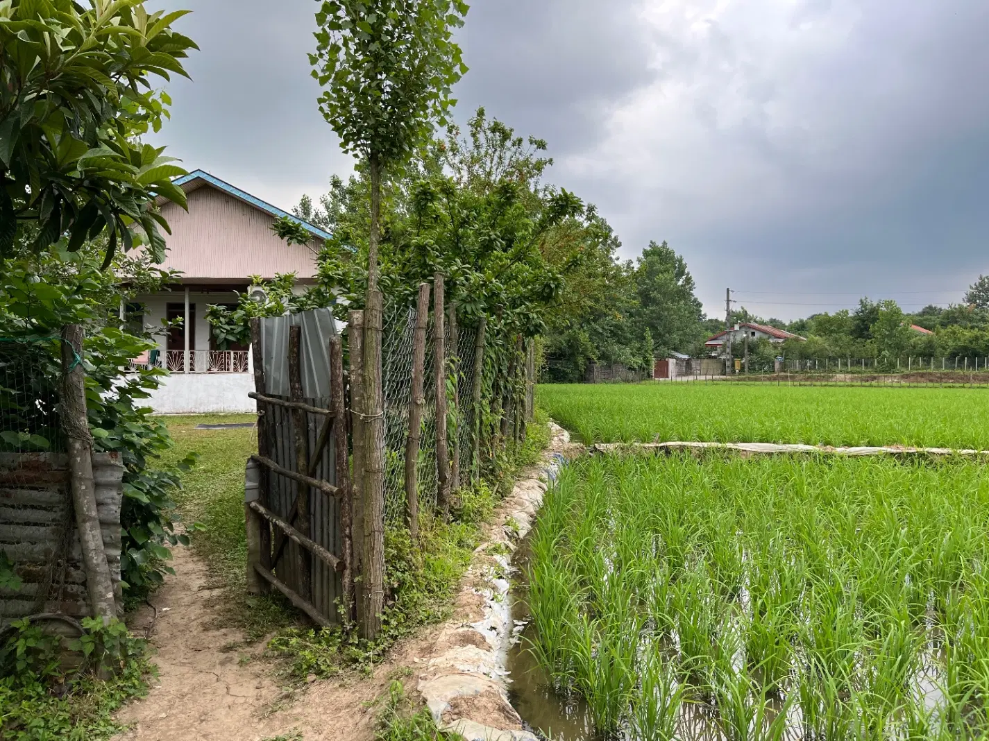 تصویر املاک 88114