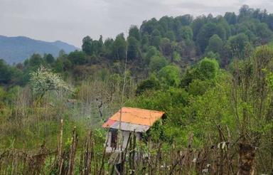 تصویر املاک 16686
