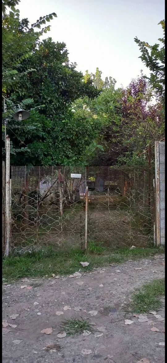 تصویر املاک 66598