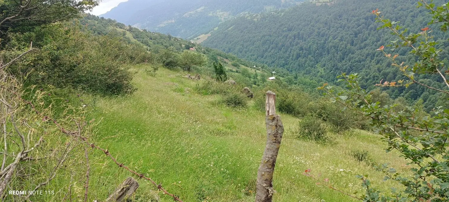 تصویر املاک 63657