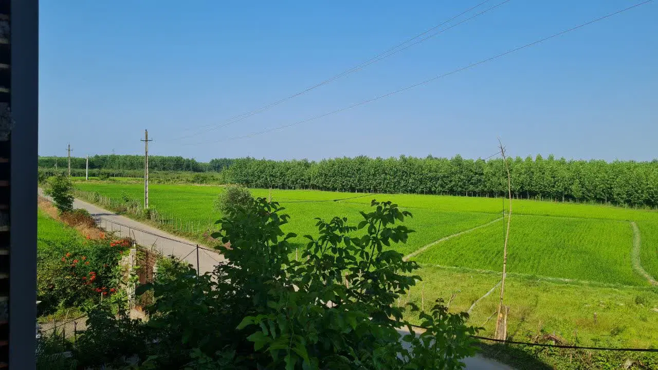 تصویر املاک 60437
