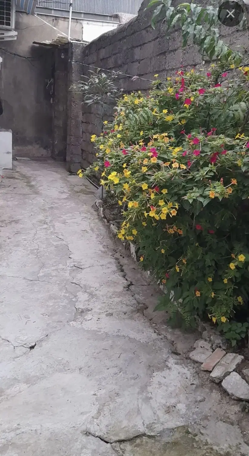 تصویر املاک 133205