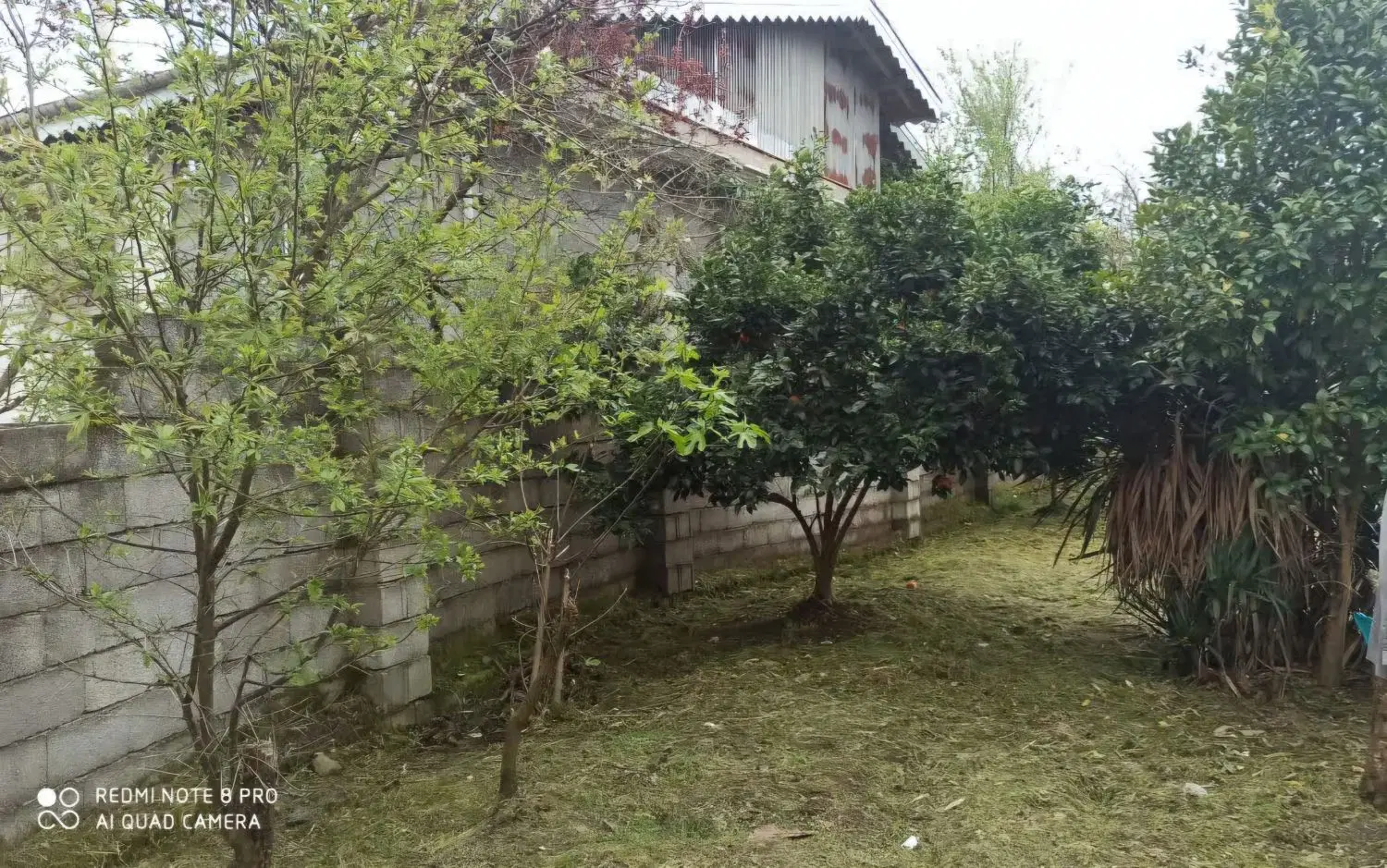 تصویر املاک 126178