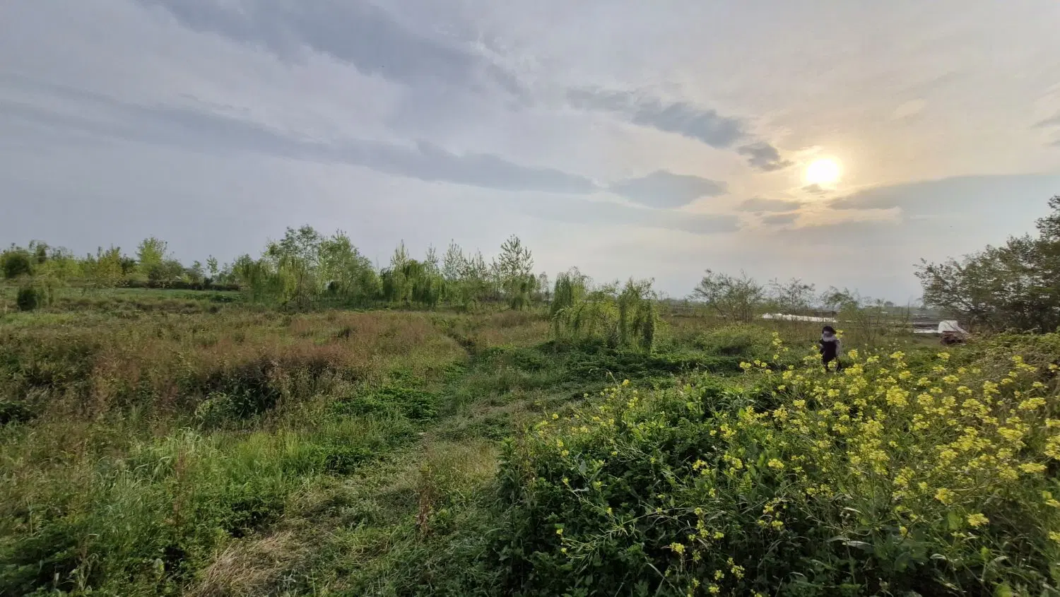 تصویر املاک 43703