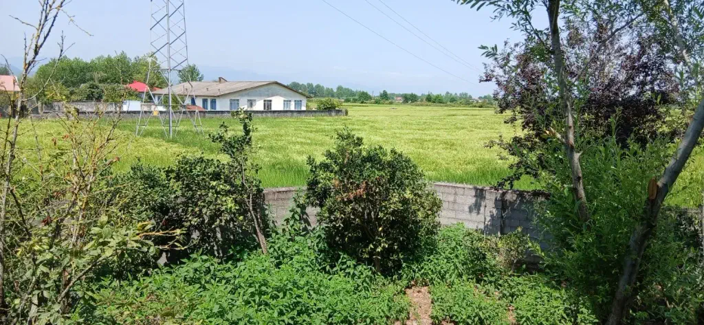 تصویر املاک 142718