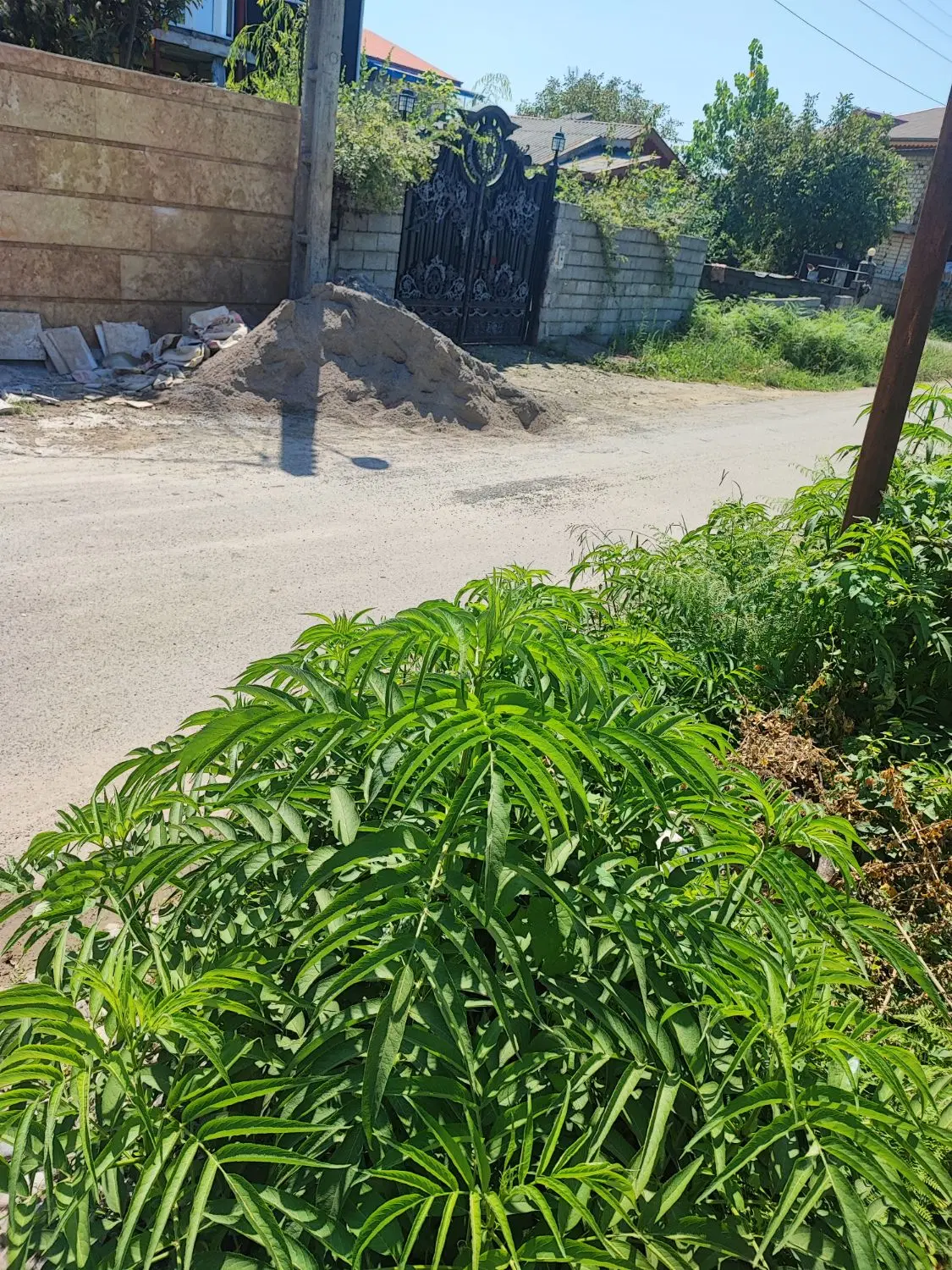 تصویر املاک 130044