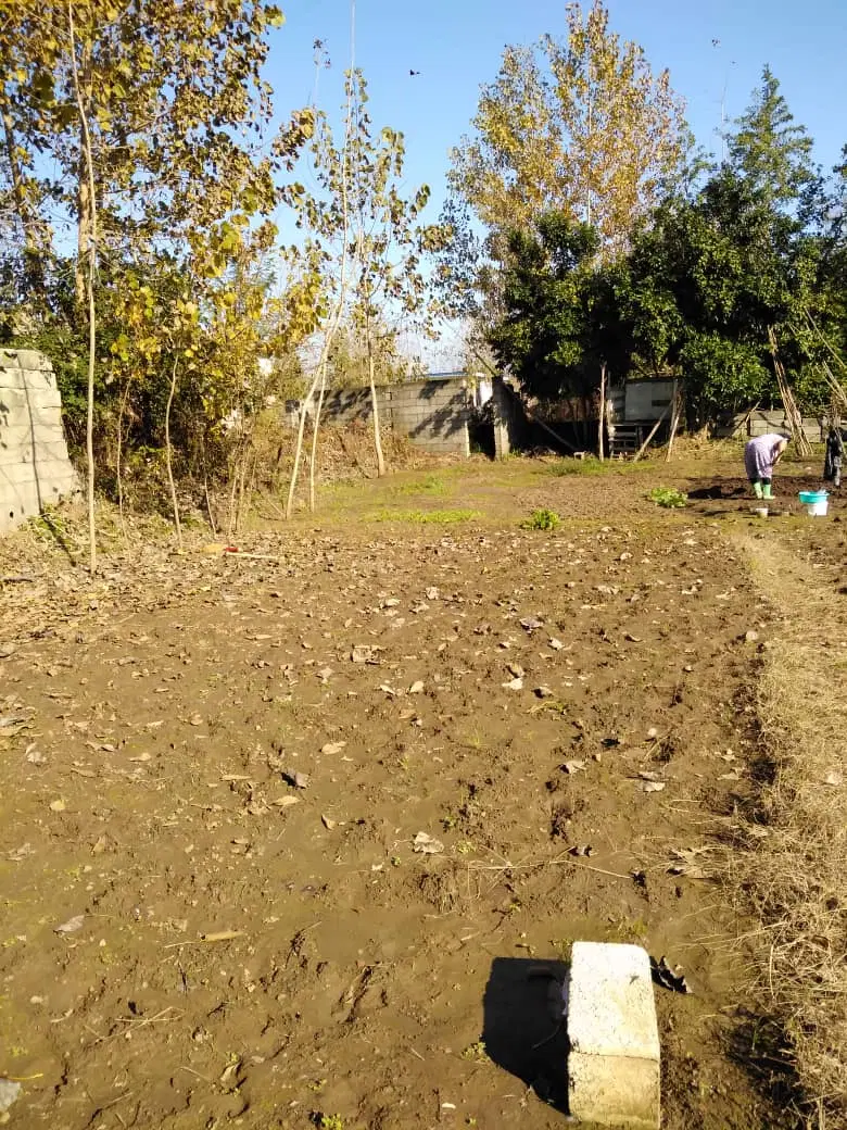 تصویر املاک 81062