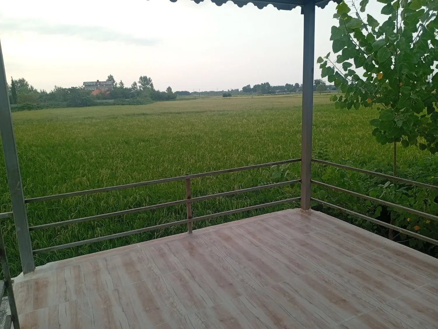 تصویر املاک 106146