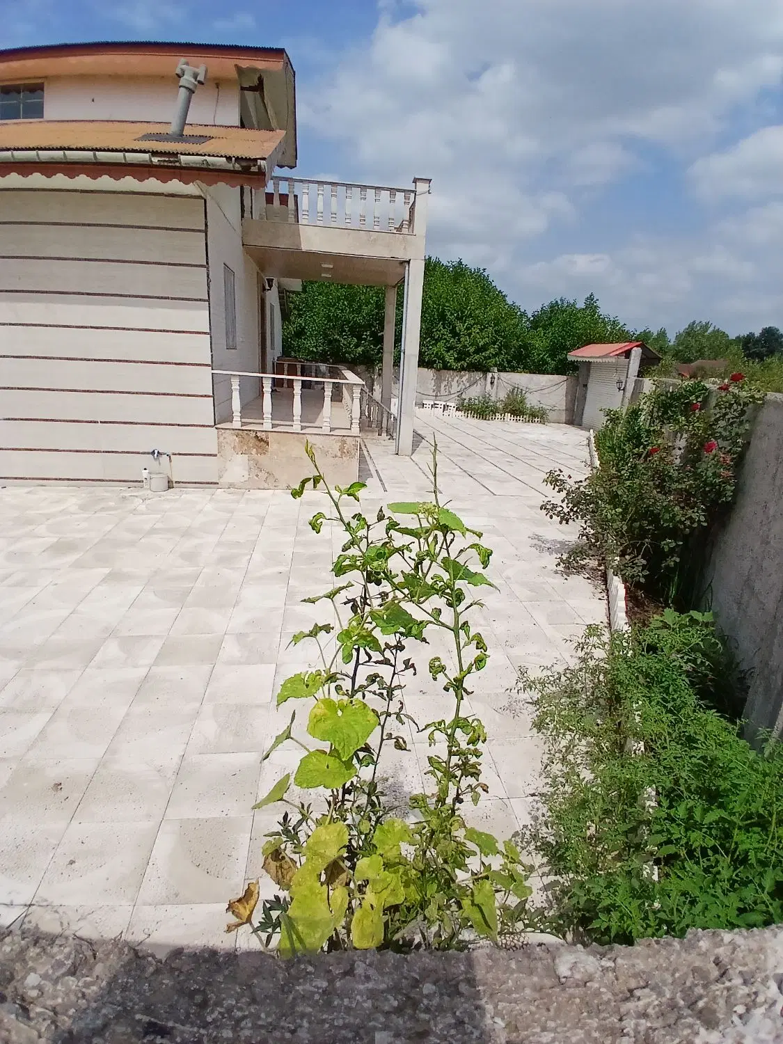 تصویر املاک 117133