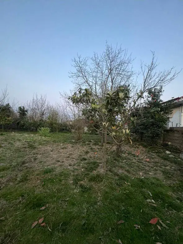 تصویر املاک 119521