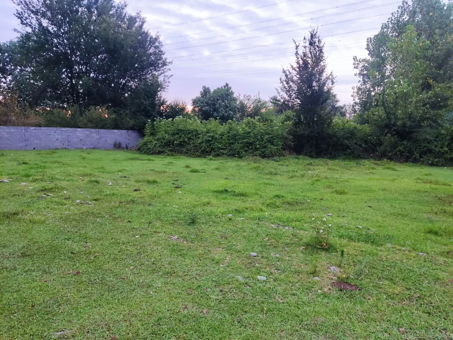 تصویر املاک 108284