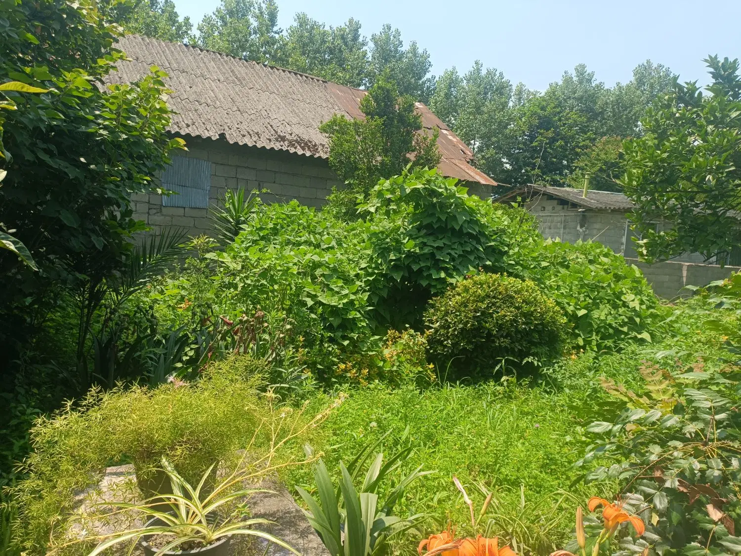 تصویر املاک 85869