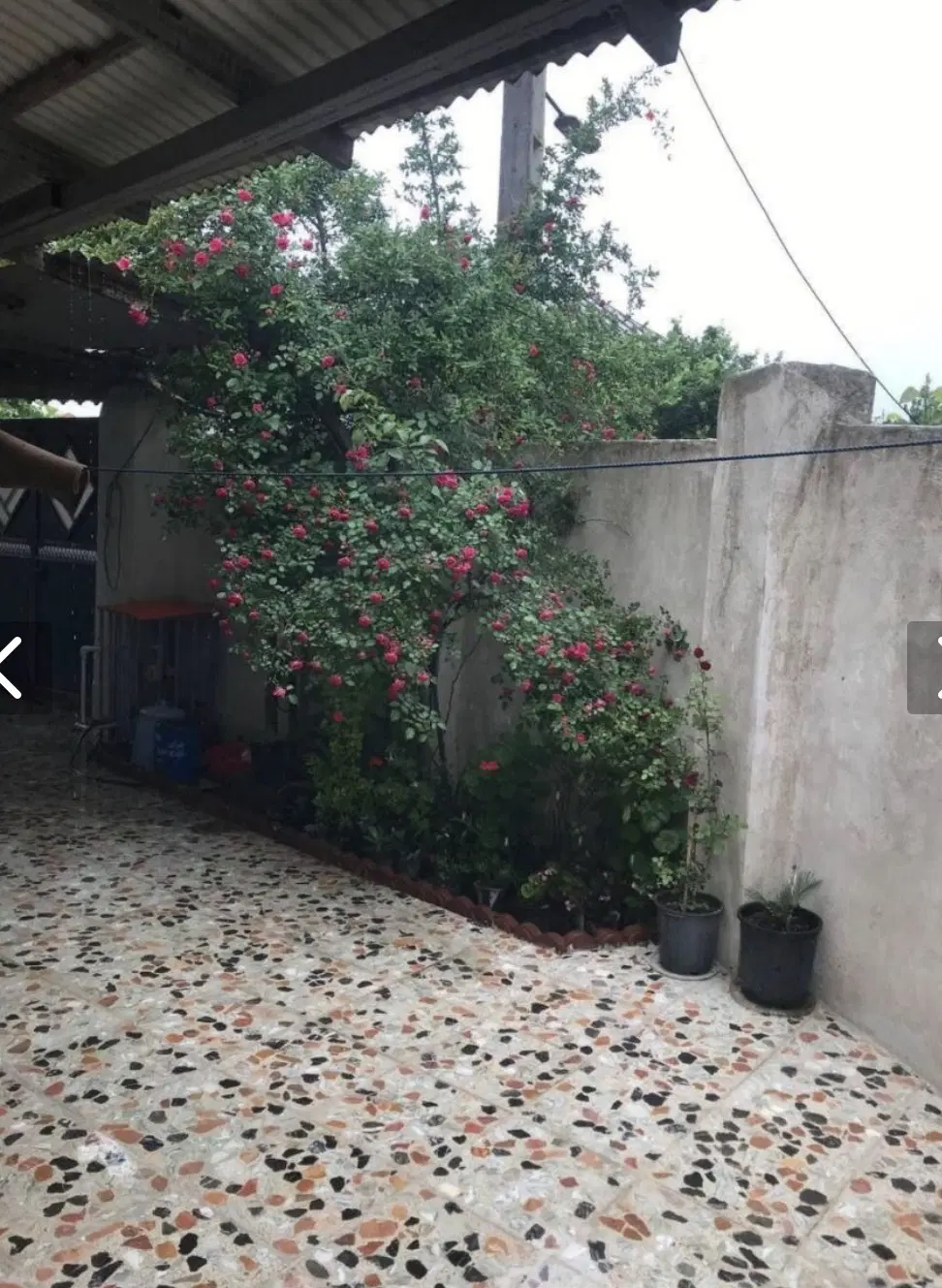 تصویر املاک 139118