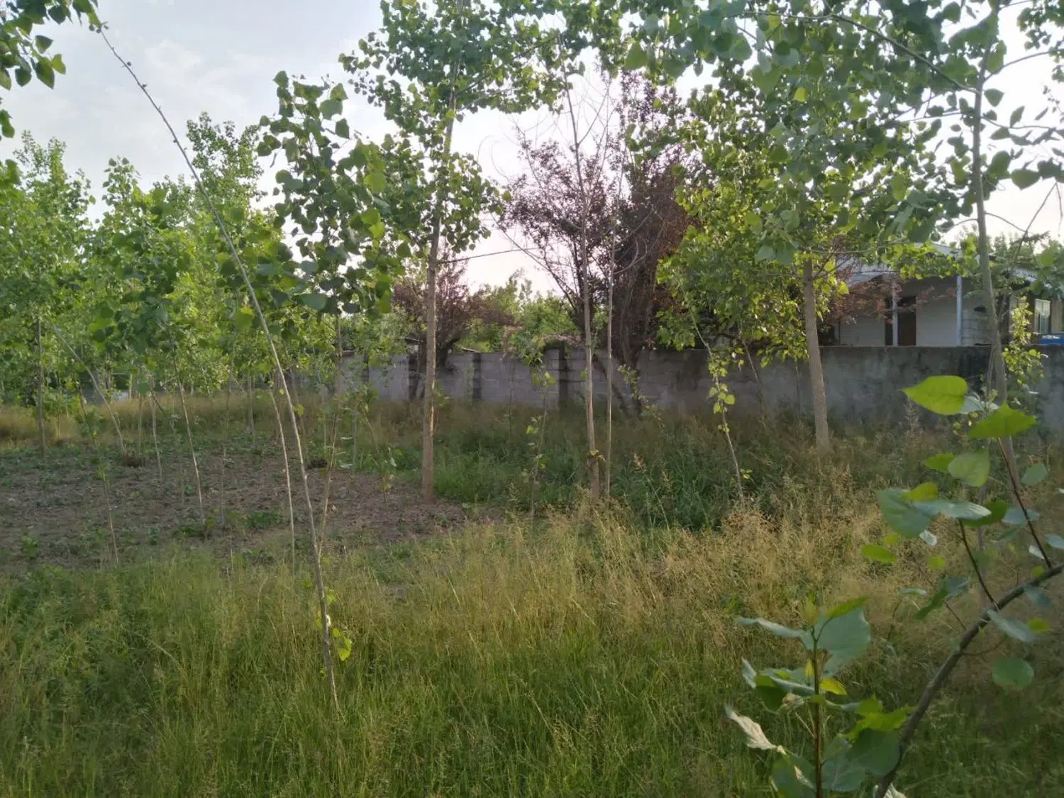 تصویر املاک 112717