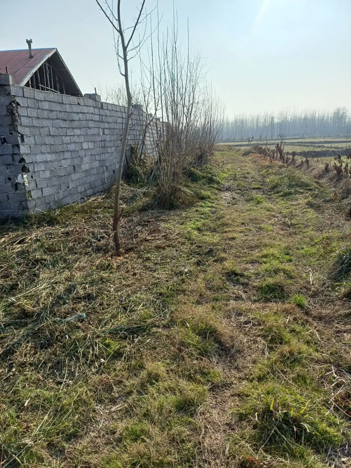 تصویر املاک 130202