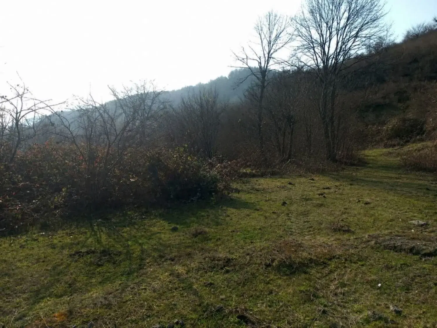 تصویر املاک 112223