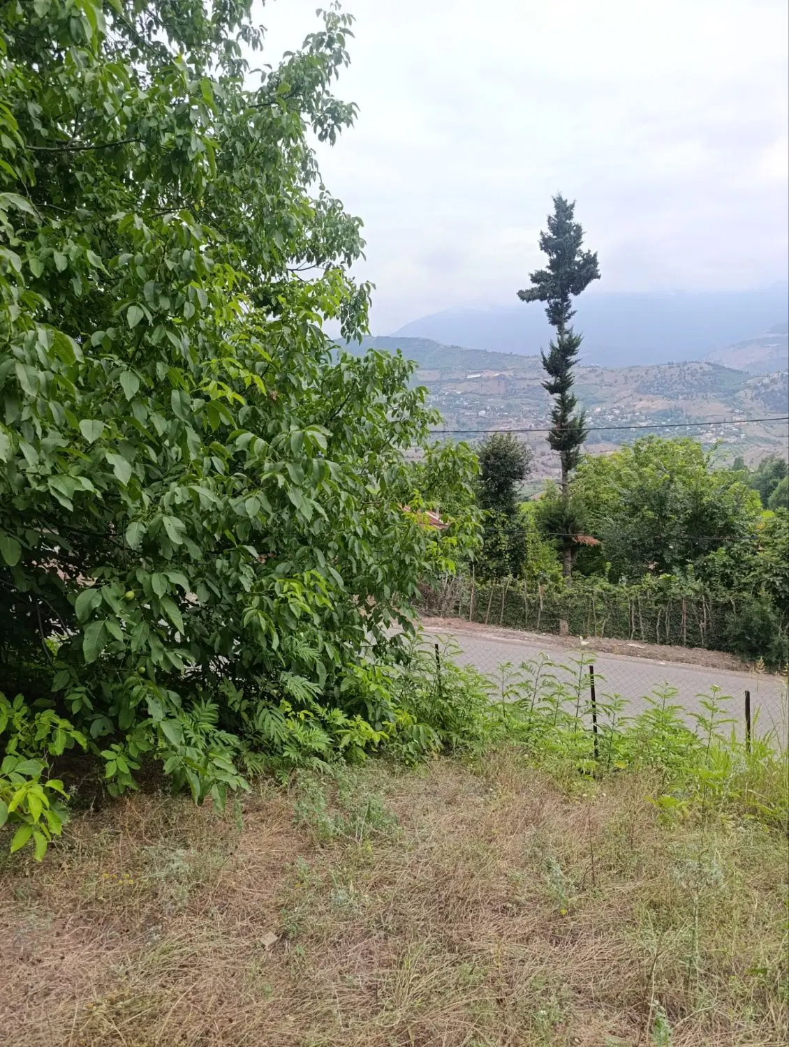 تصویر املاک 91924