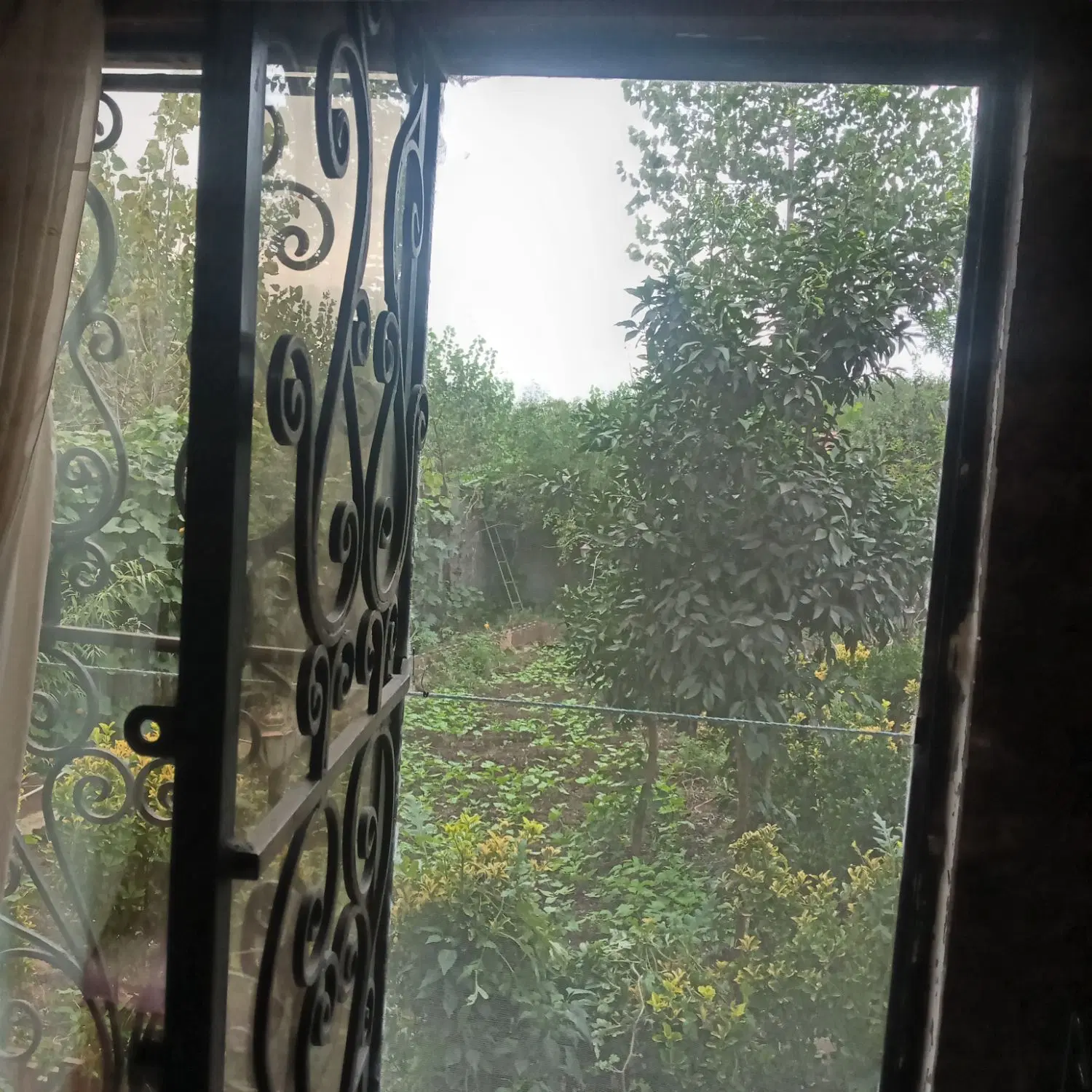تصویر املاک 121187