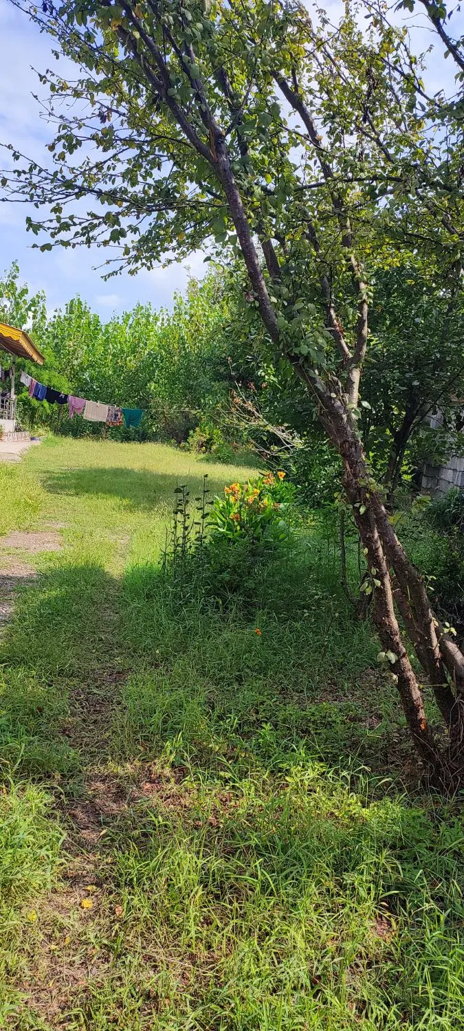 تصویر املاک 106359