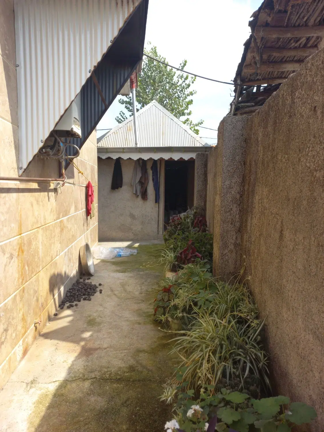 تصویر املاک 132038