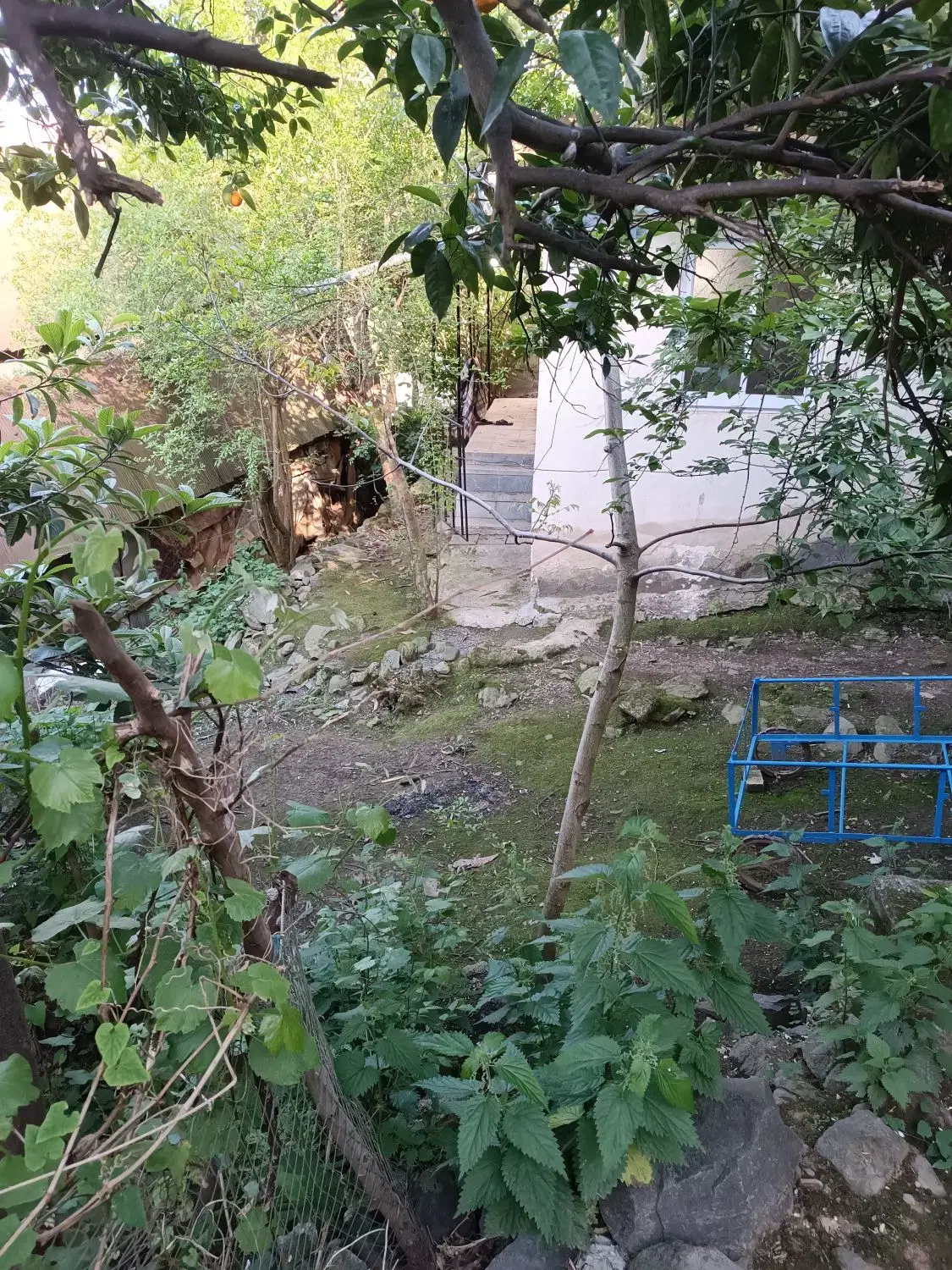 تصویر املاک 82693