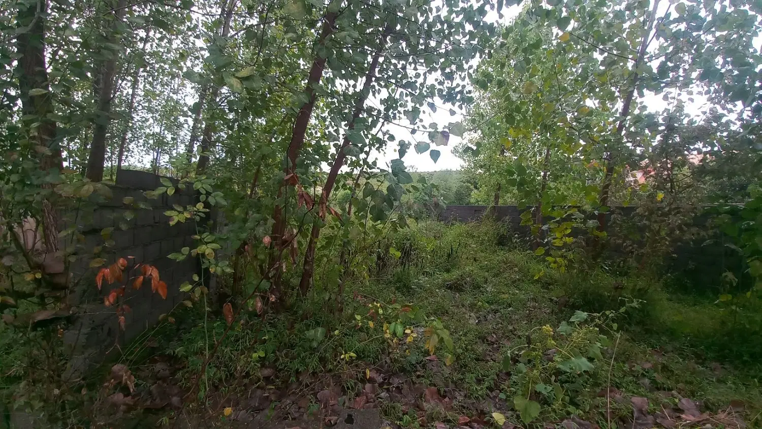 تصویر املاک 127225