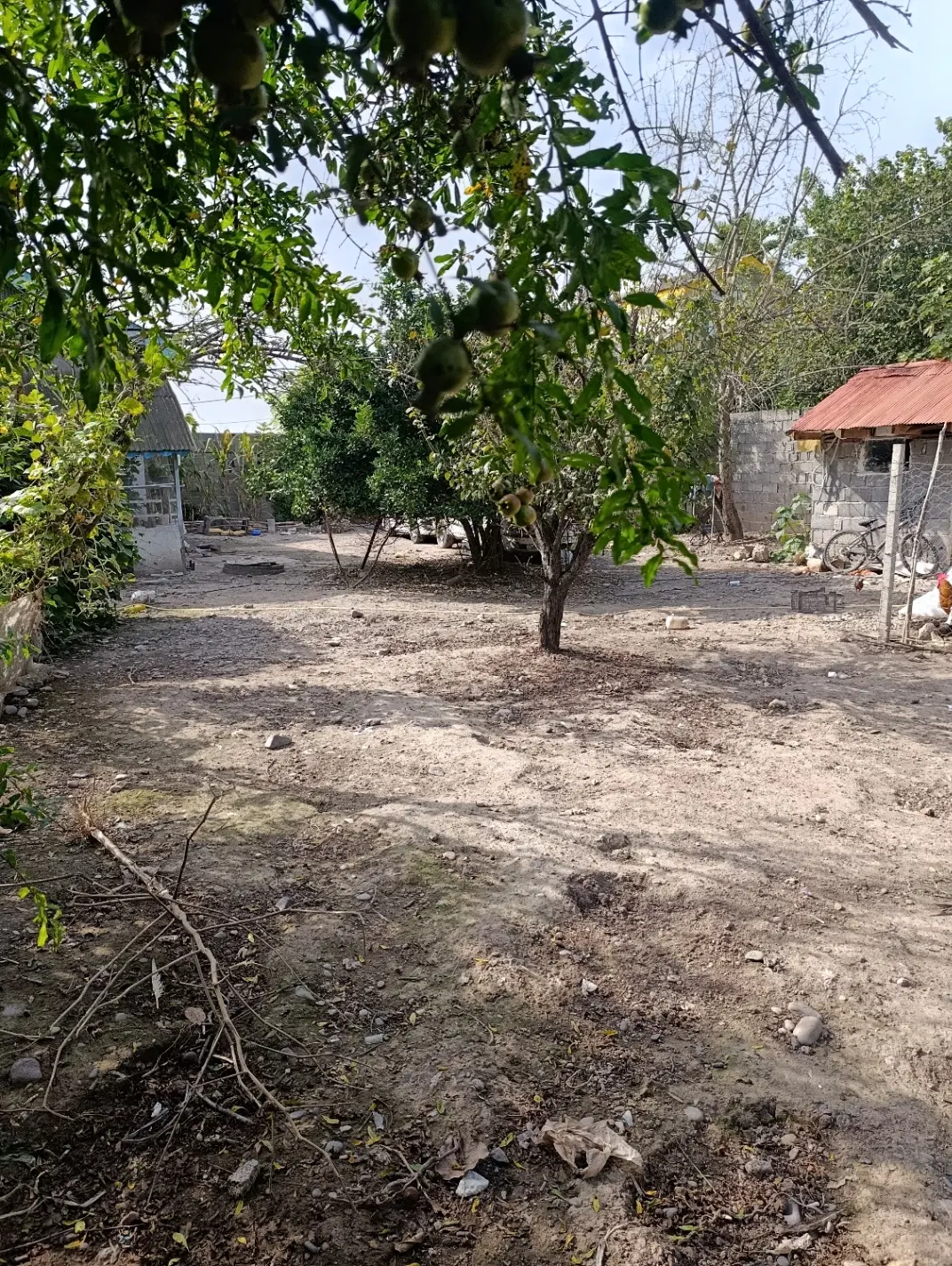 تصویر املاک 143723