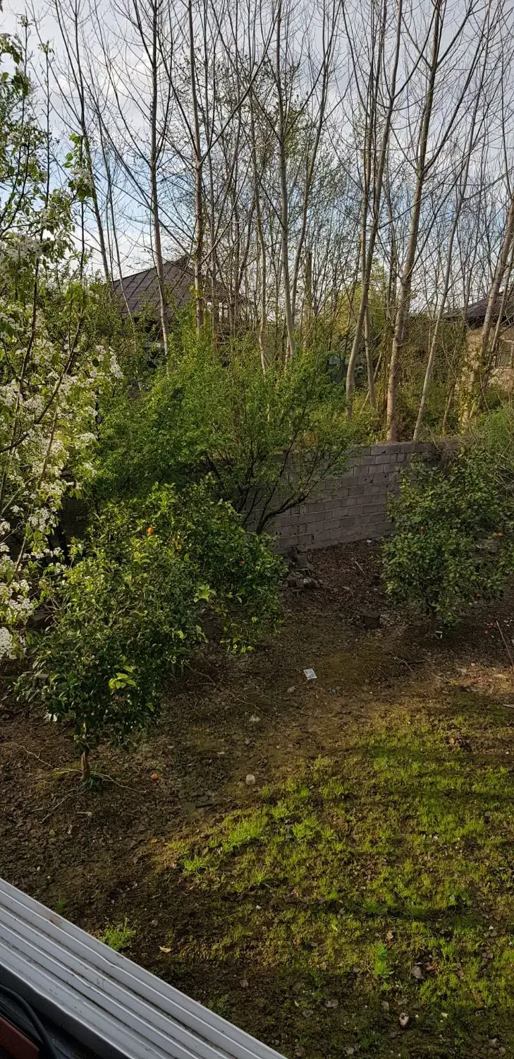 تصویر املاک 40101