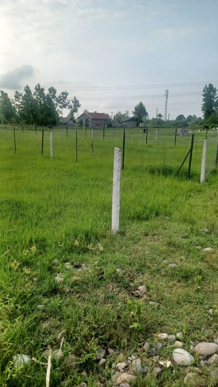 تصویر املاک 97141