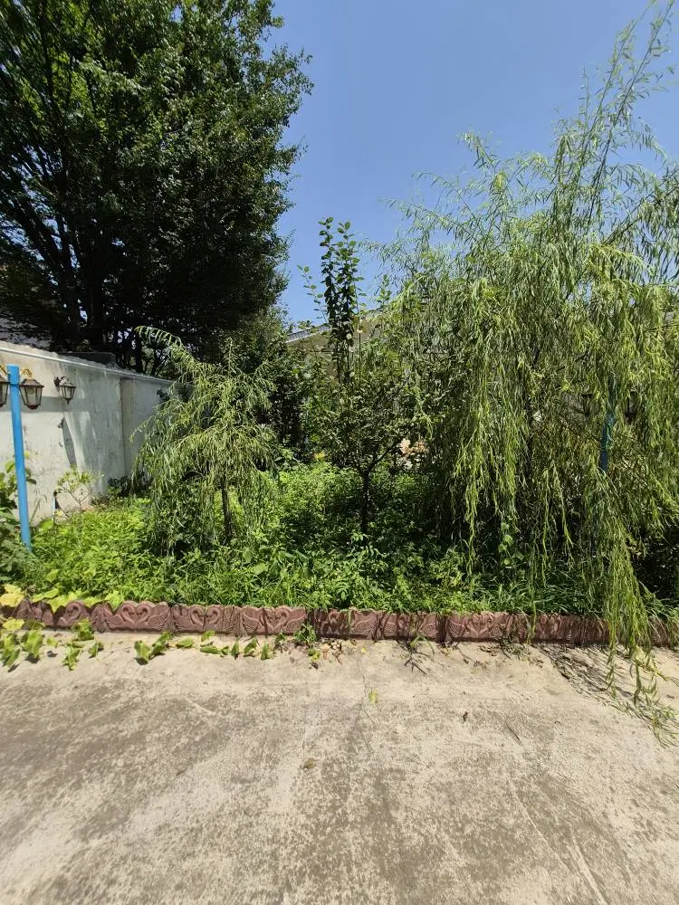 تصویر املاک 110619
