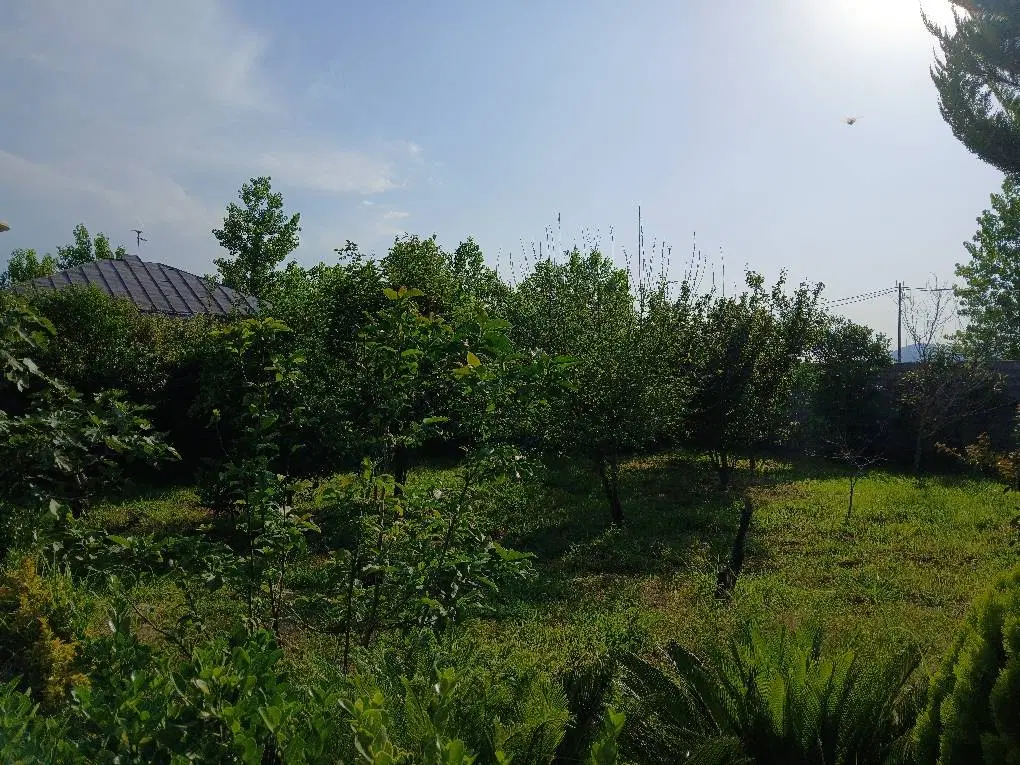 تصویر املاک 62068