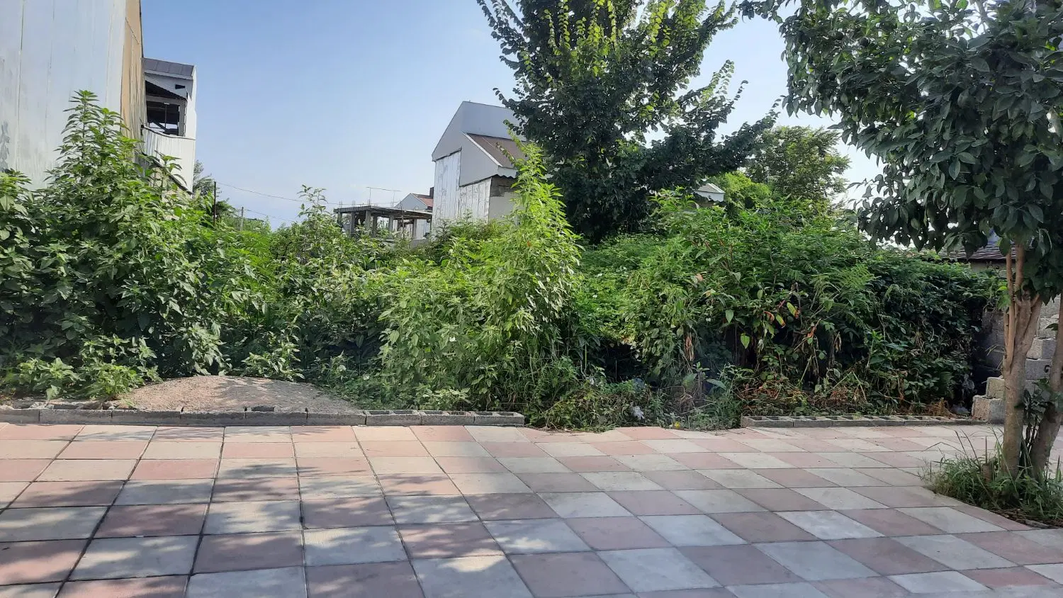 تصویر املاک 93072