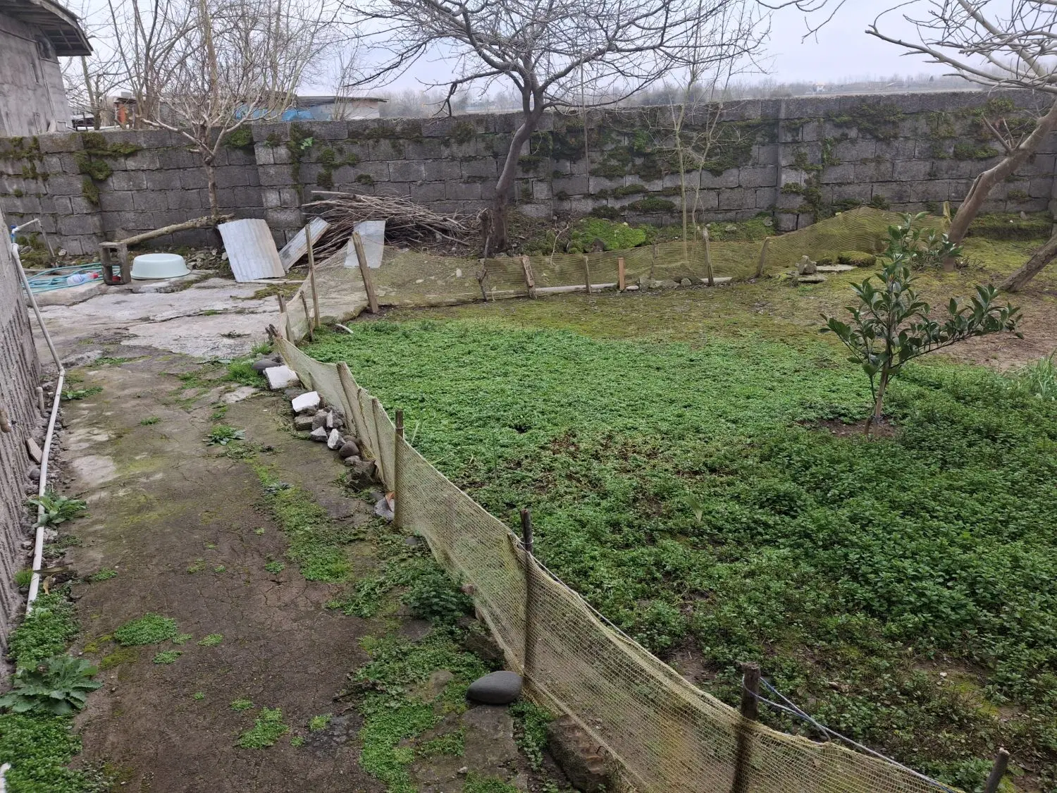 تصویر املاک 141267