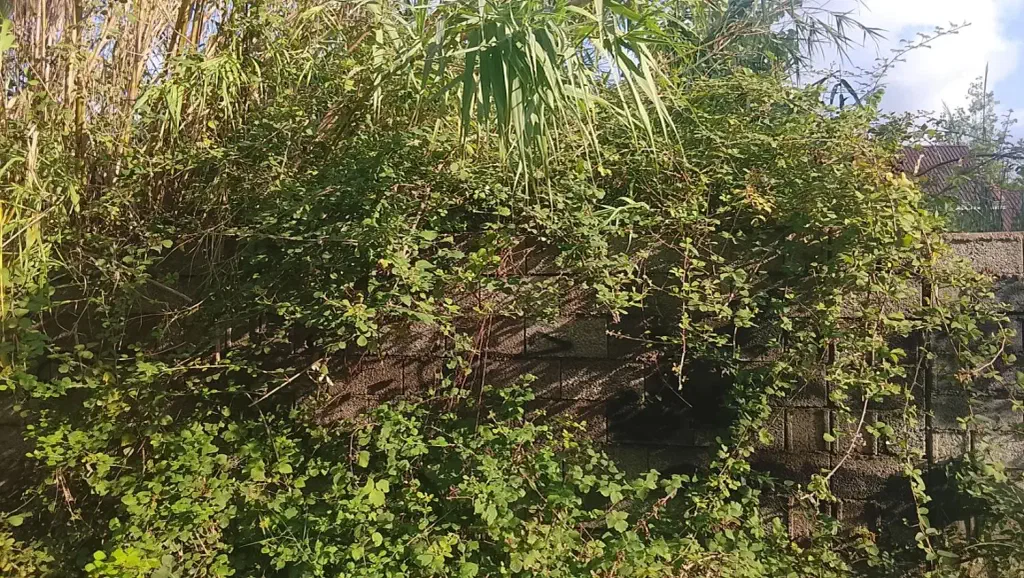 تصویر املاک 140250
