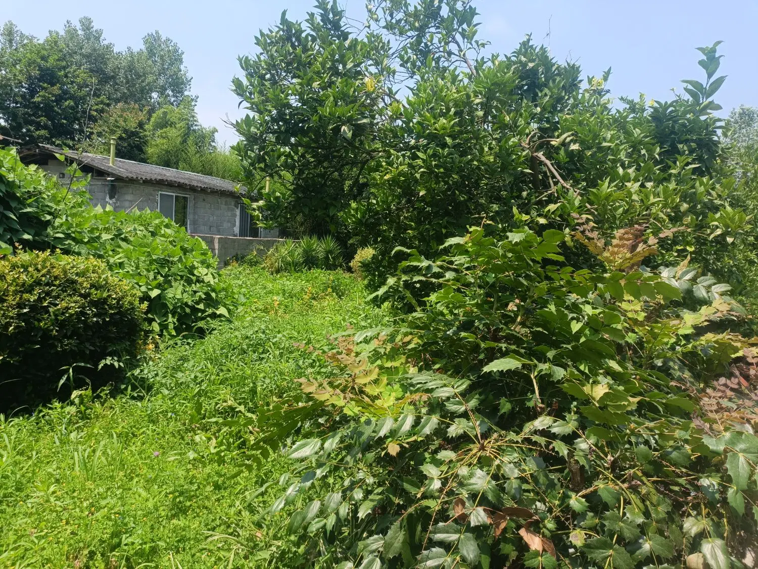 تصویر املاک 85866