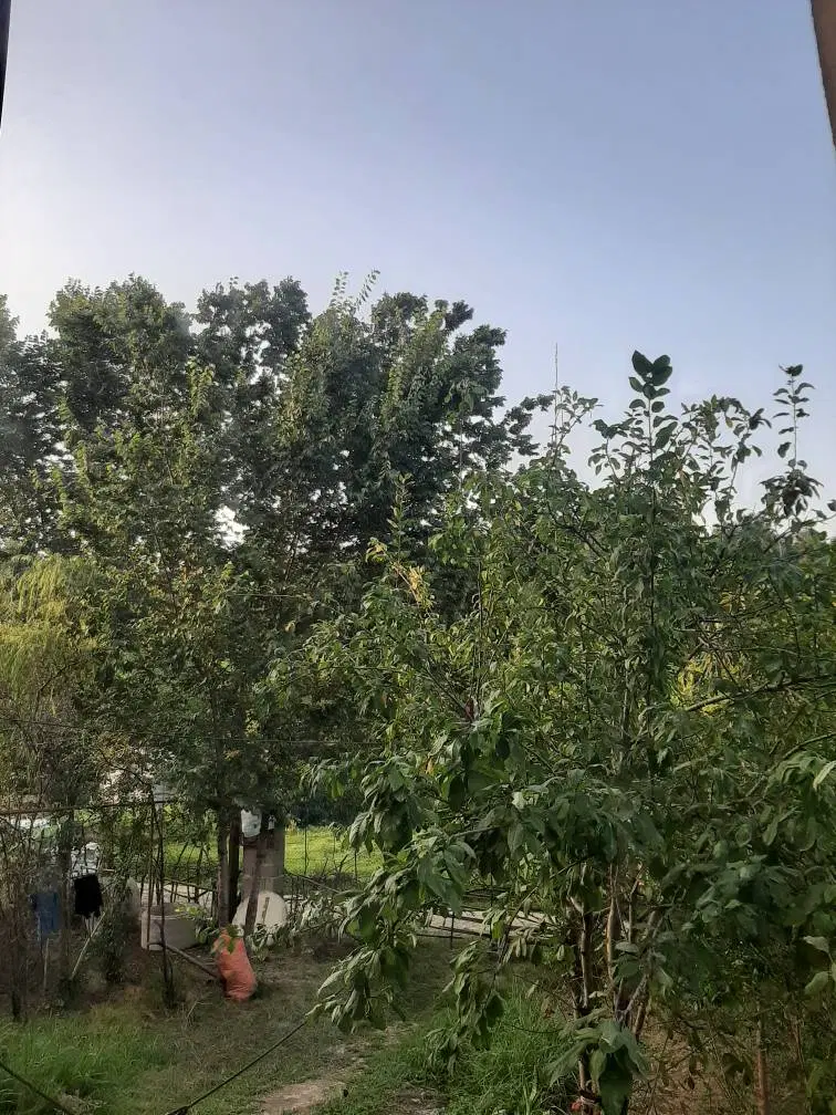 تصویر املاک 132112