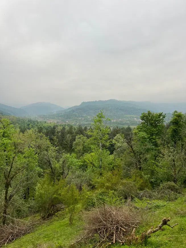 تصویر املاک 99096