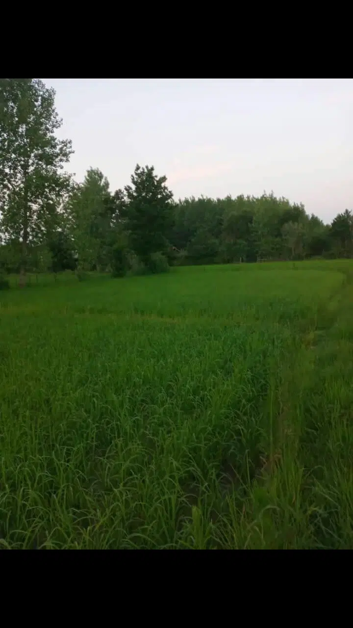 تصویر املاک 98279