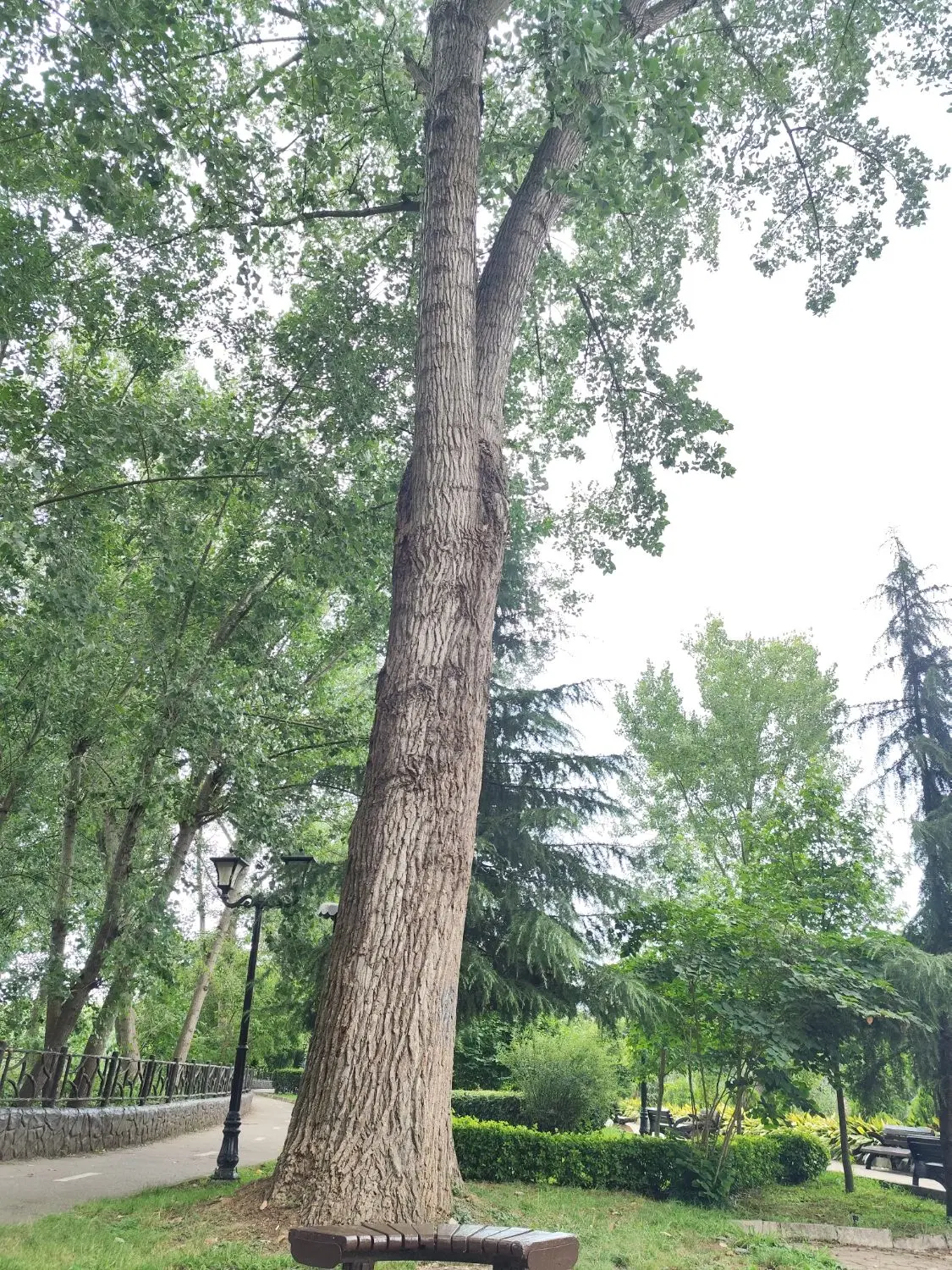 تصویر املاک 101530