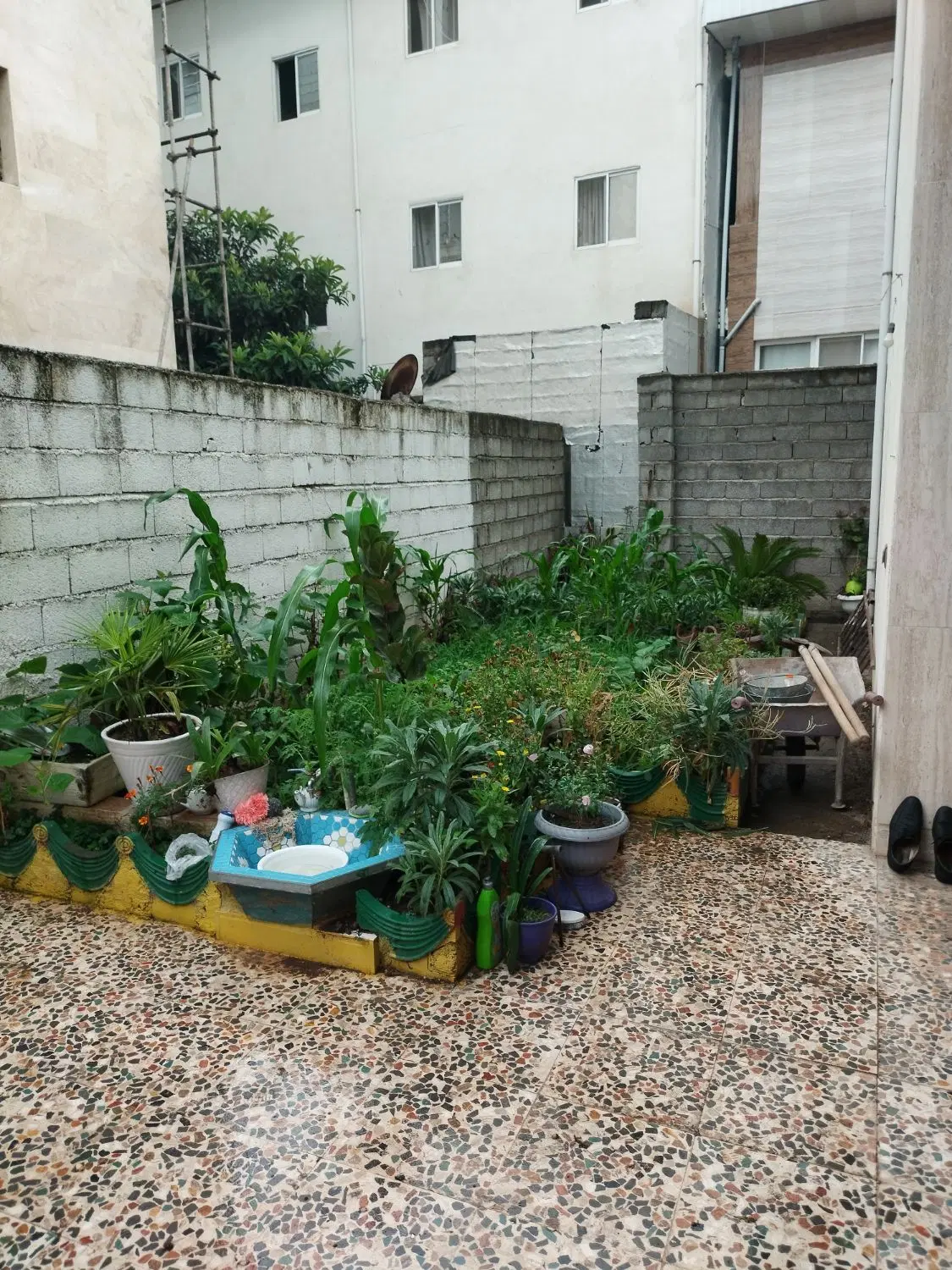تصویر املاک 94463