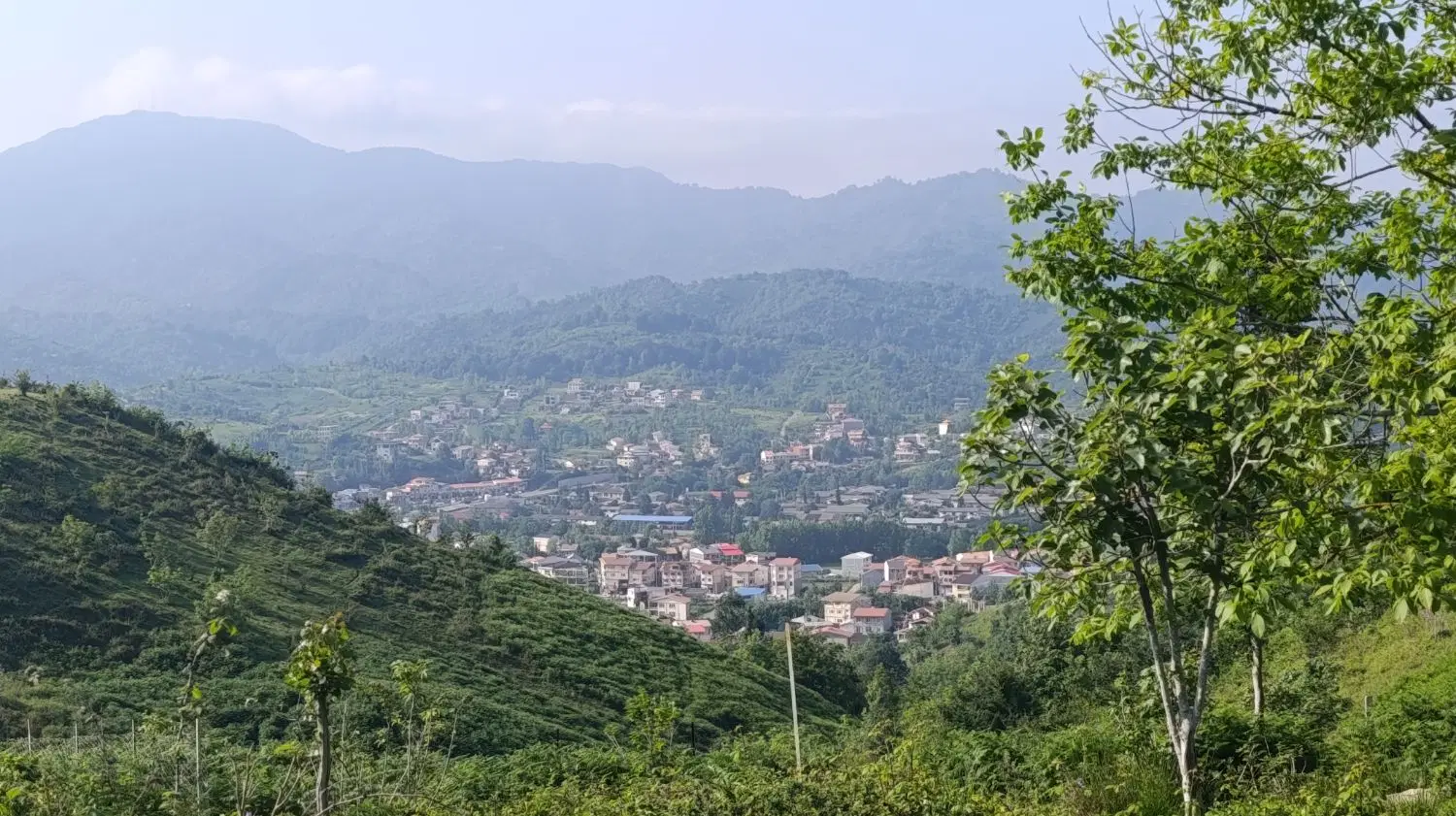 تصویر املاک 114961