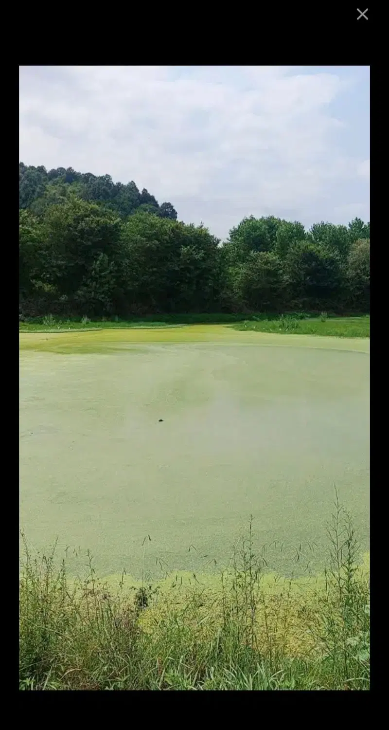 تصویر املاک 126170