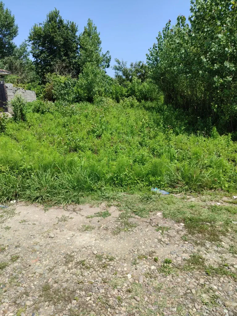 تصویر املاک 141659