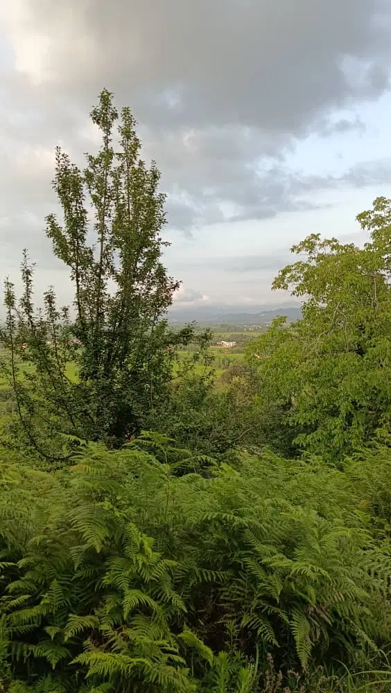 تصویر املاک 77629