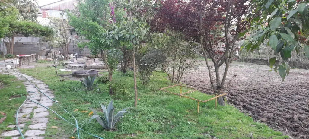 تصویر املاک 142382