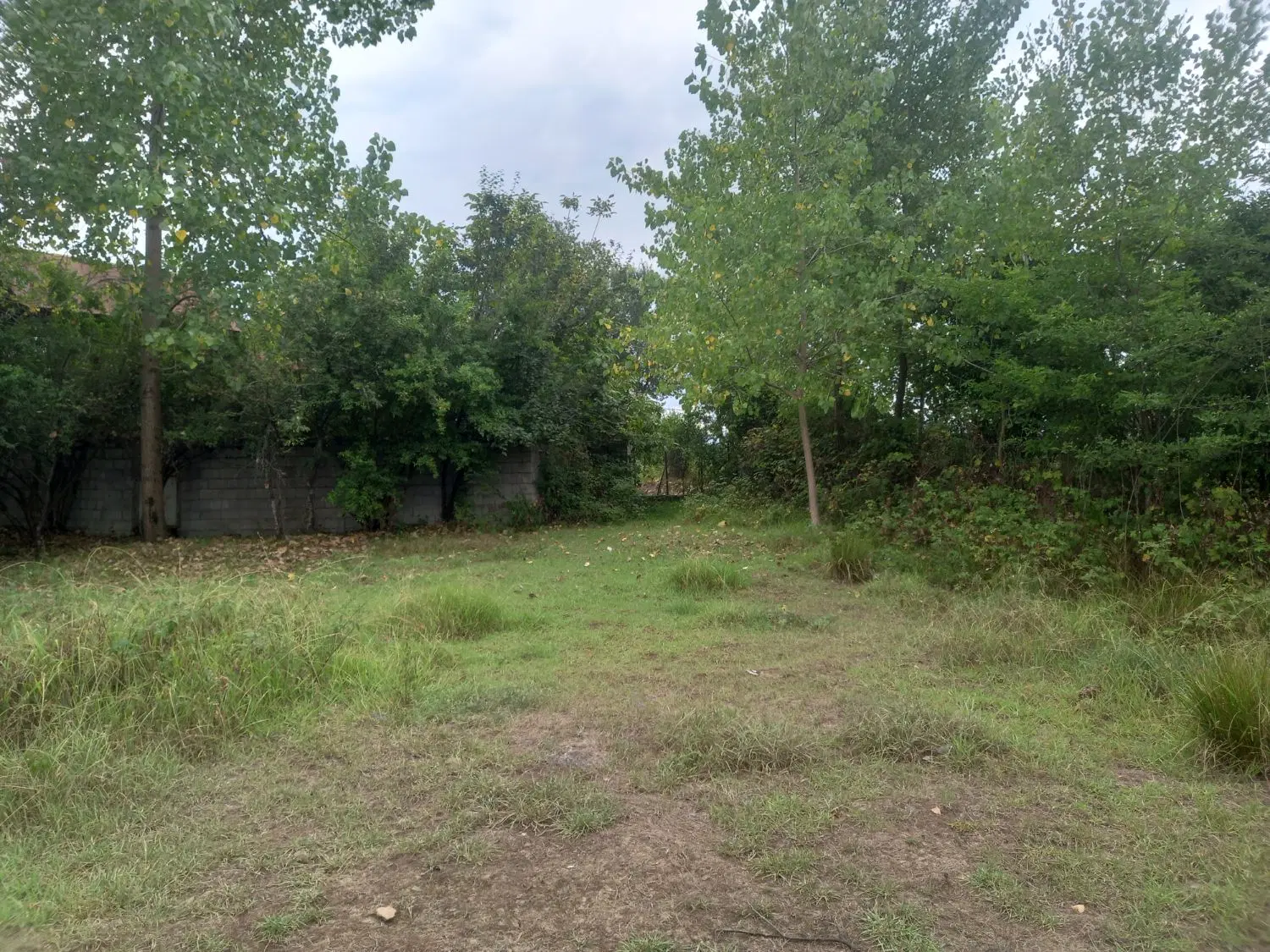 تصویر املاک 96865