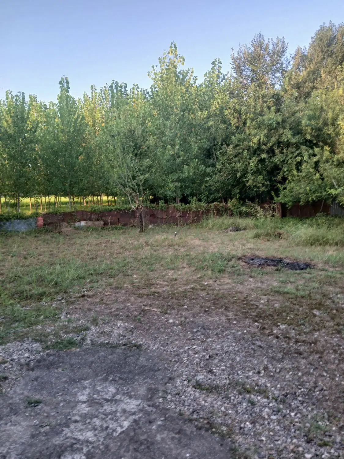 تصویر املاک 113122