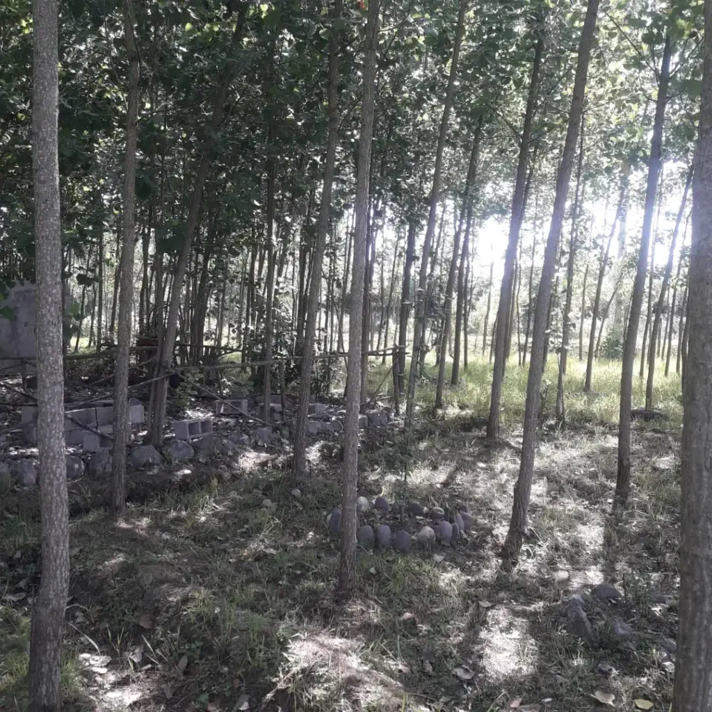 تصویر املاک 138824
