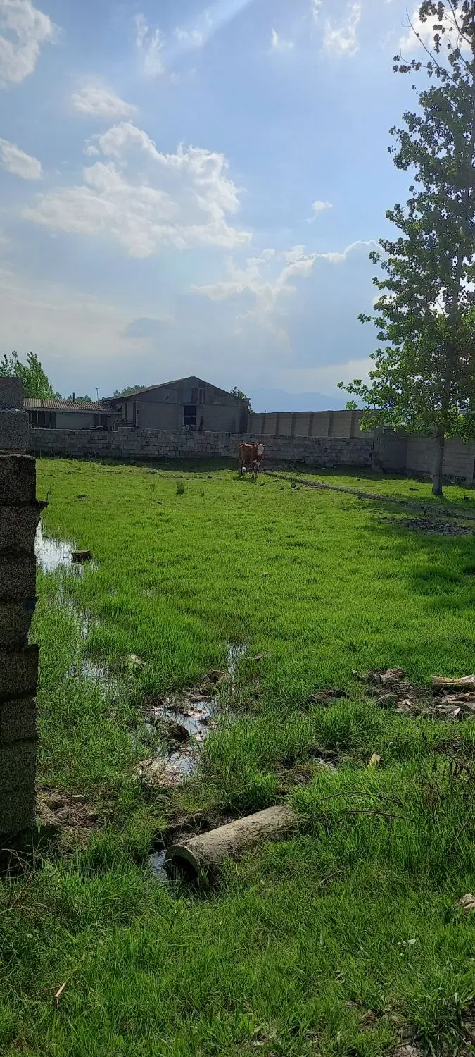 تصویر املاک 62314