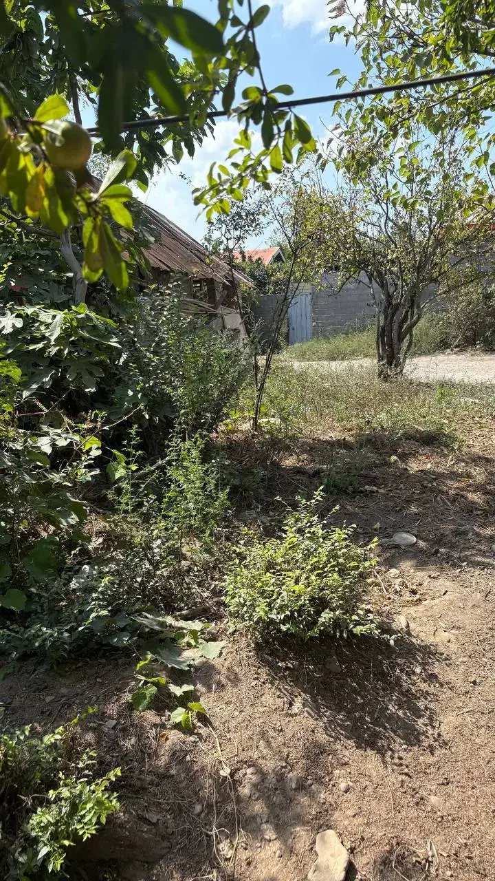 تصویر املاک 44590